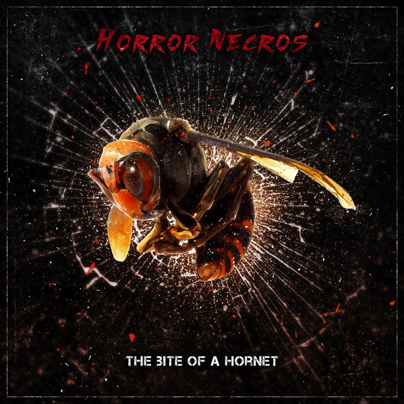 Horror Necros title